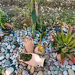 Ondamarina Bed & Breakfast Lascari