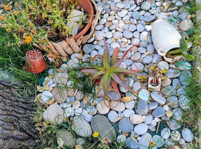 住宿加早餐酒店 Ondamarina